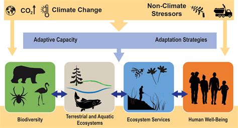 test review change over time ecology envoirment impacts|rate of change in environmental treatment.